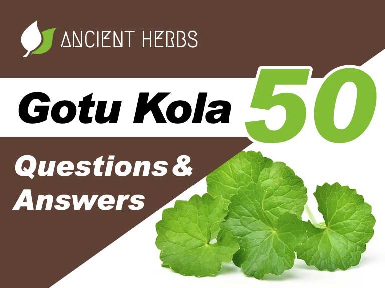 Gotu Kola