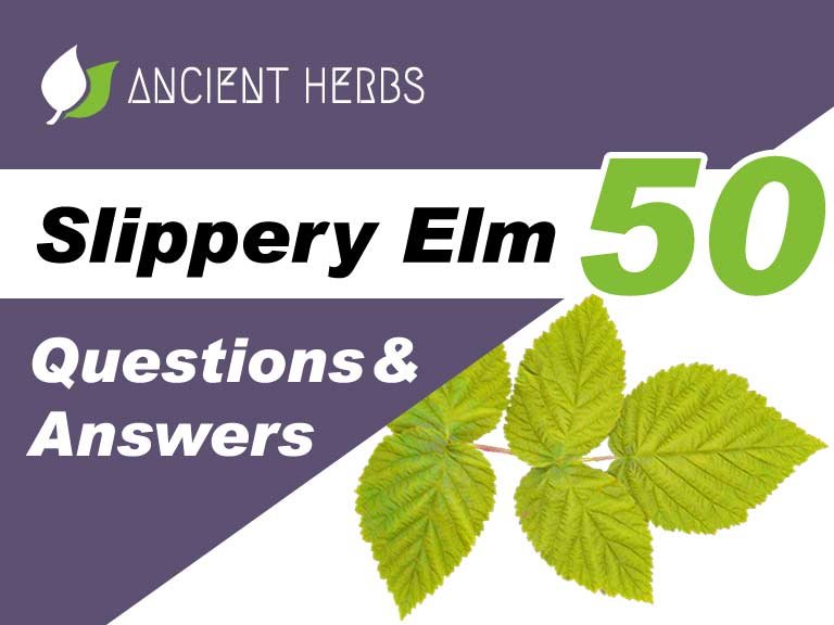 Slippery Elm