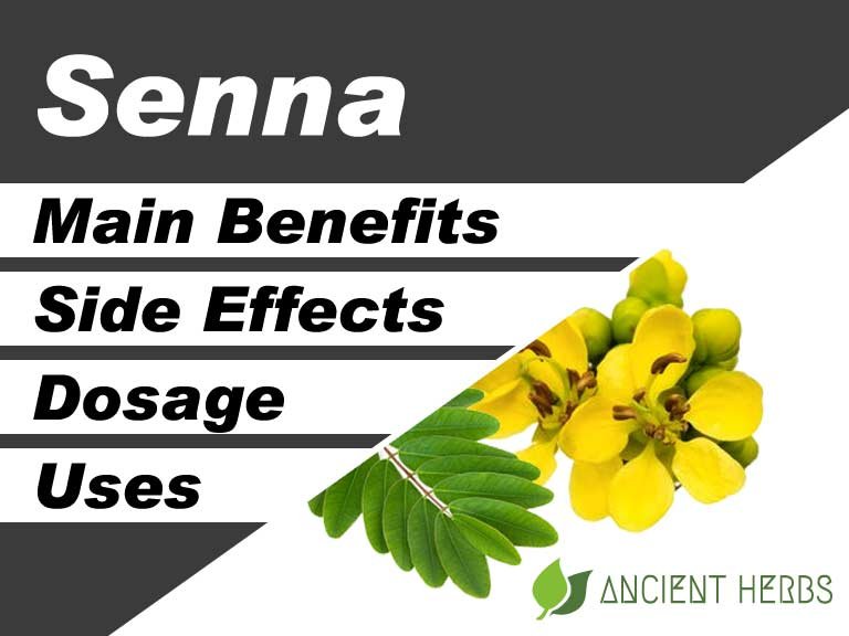 Senna Benefits Uses Dosage And Side Effects