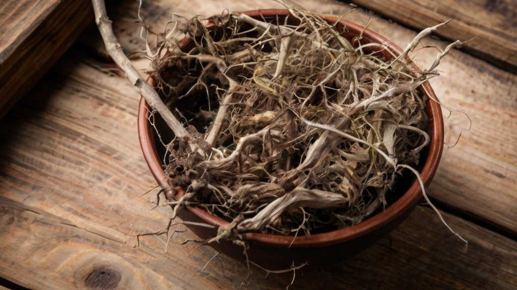 Maral Root